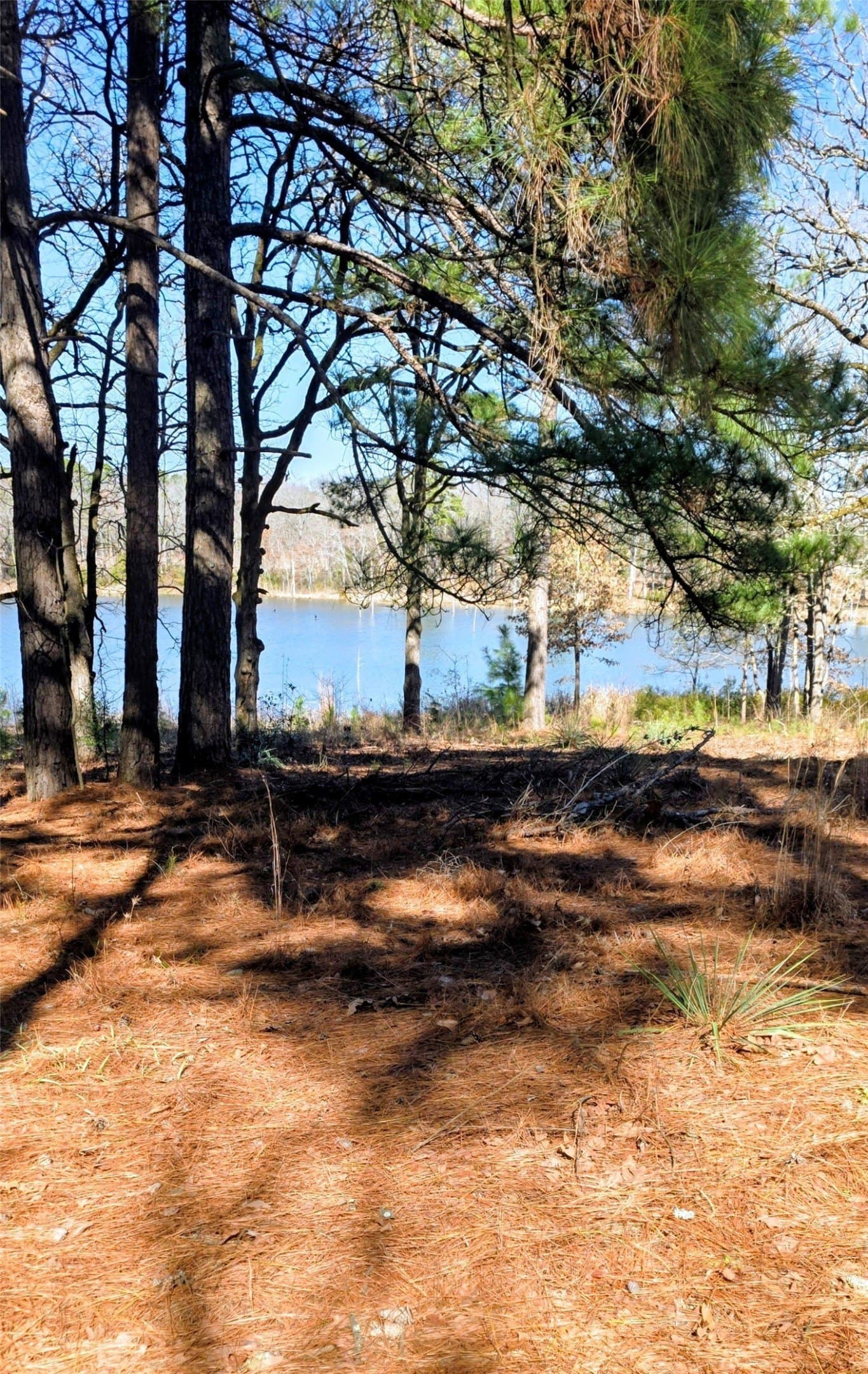 1 acres in Wood County - photo 4