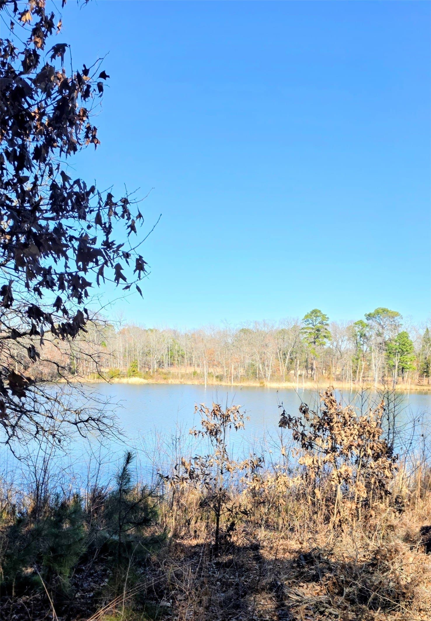 1 acres in Wood County - photo 7