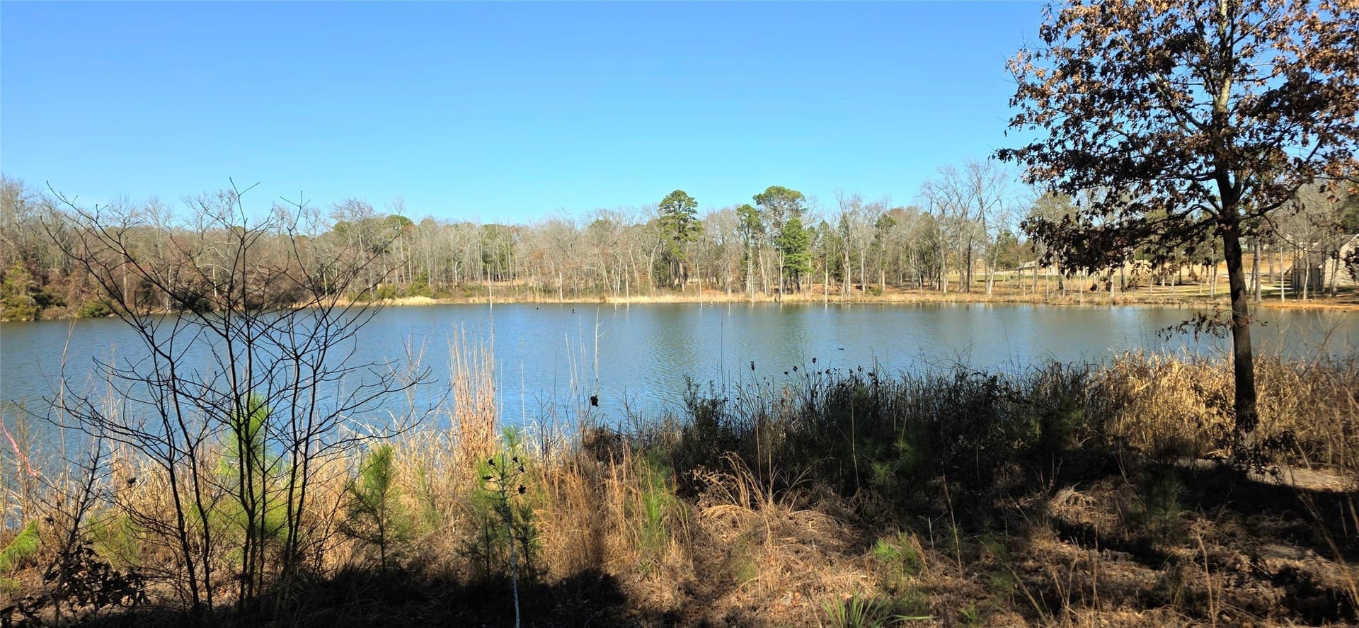 1 acres in Wood County - photo 5