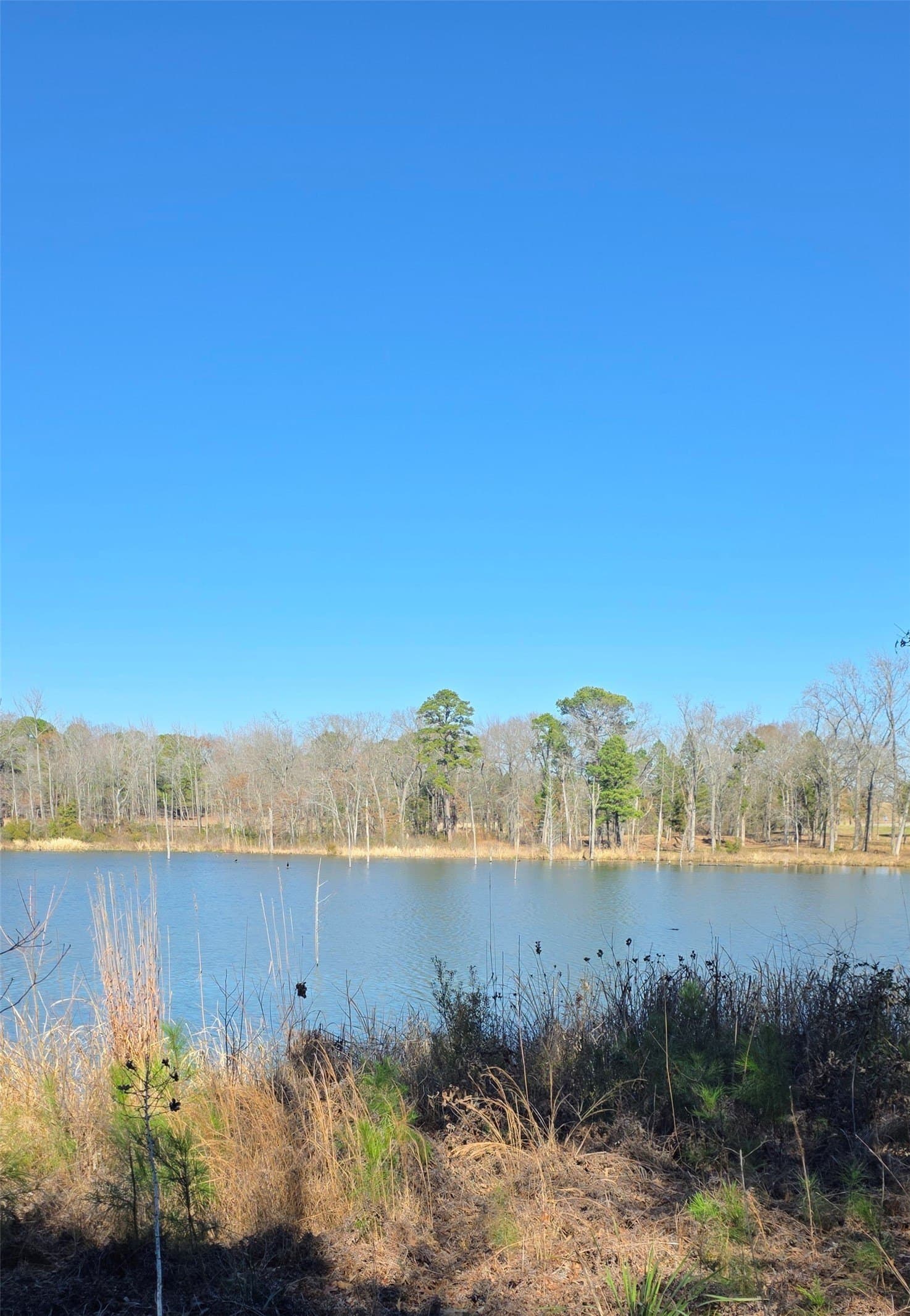 1 acres in Wood County - photo 6