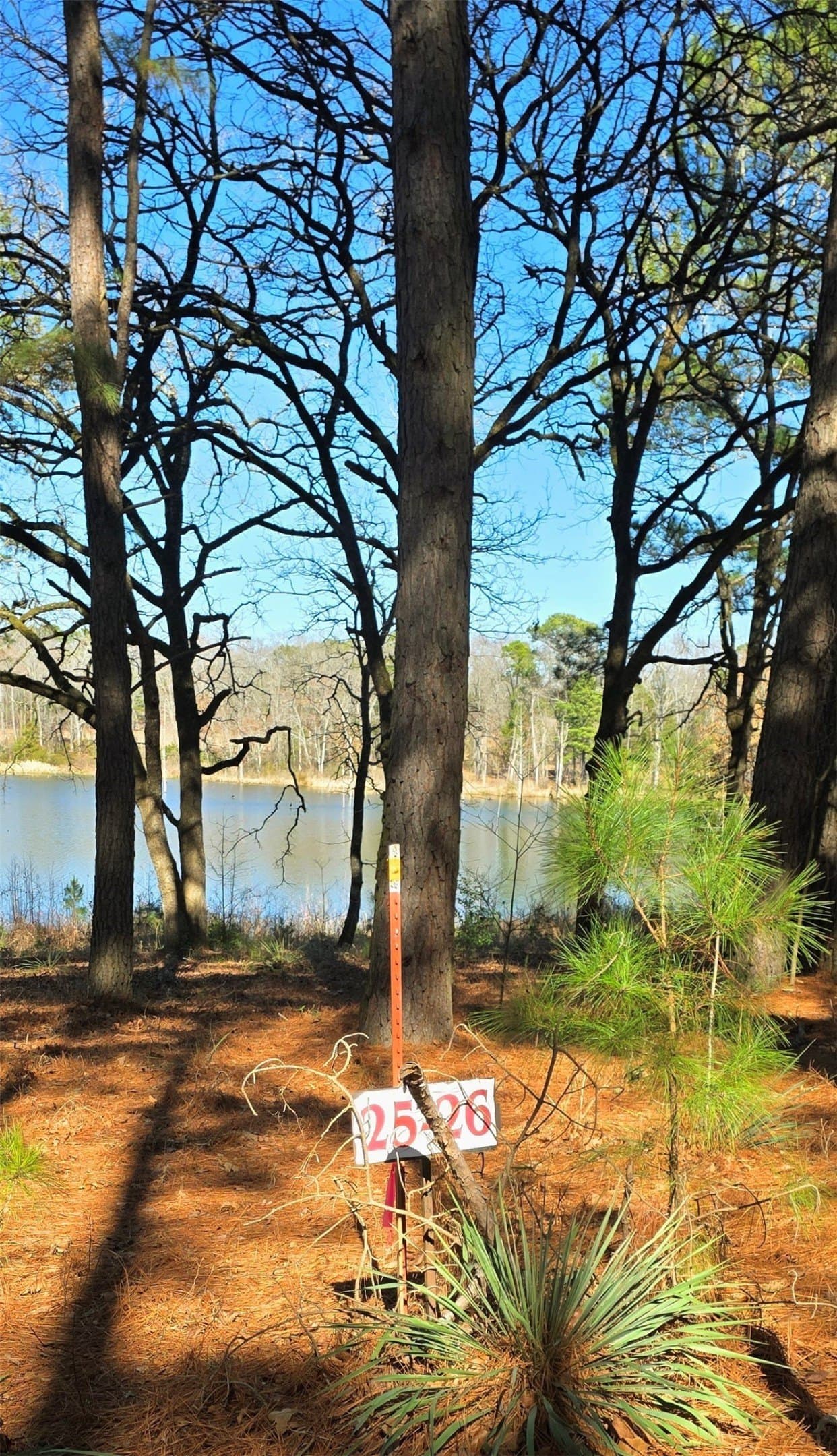 1 acres in Wood County - photo 3
