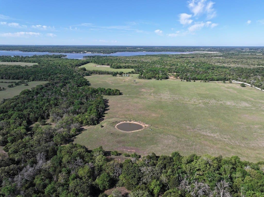 20 acres in Limestone County gallery image 4