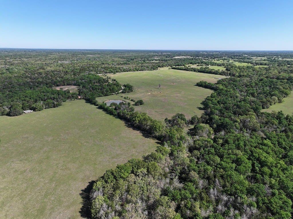 20 acres in Limestone County - photo 6