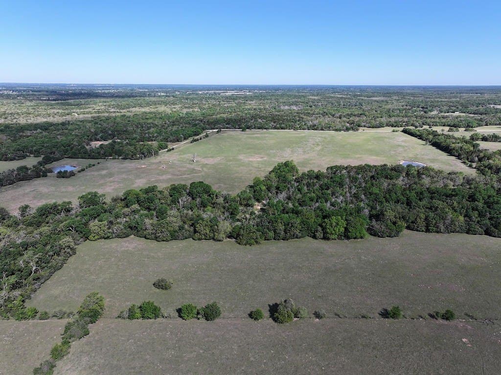 20 acres in Limestone County featured view