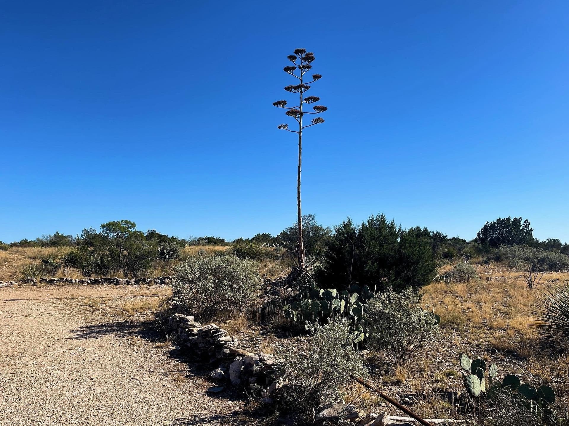 200 acres in Val Verde County gallery image 4