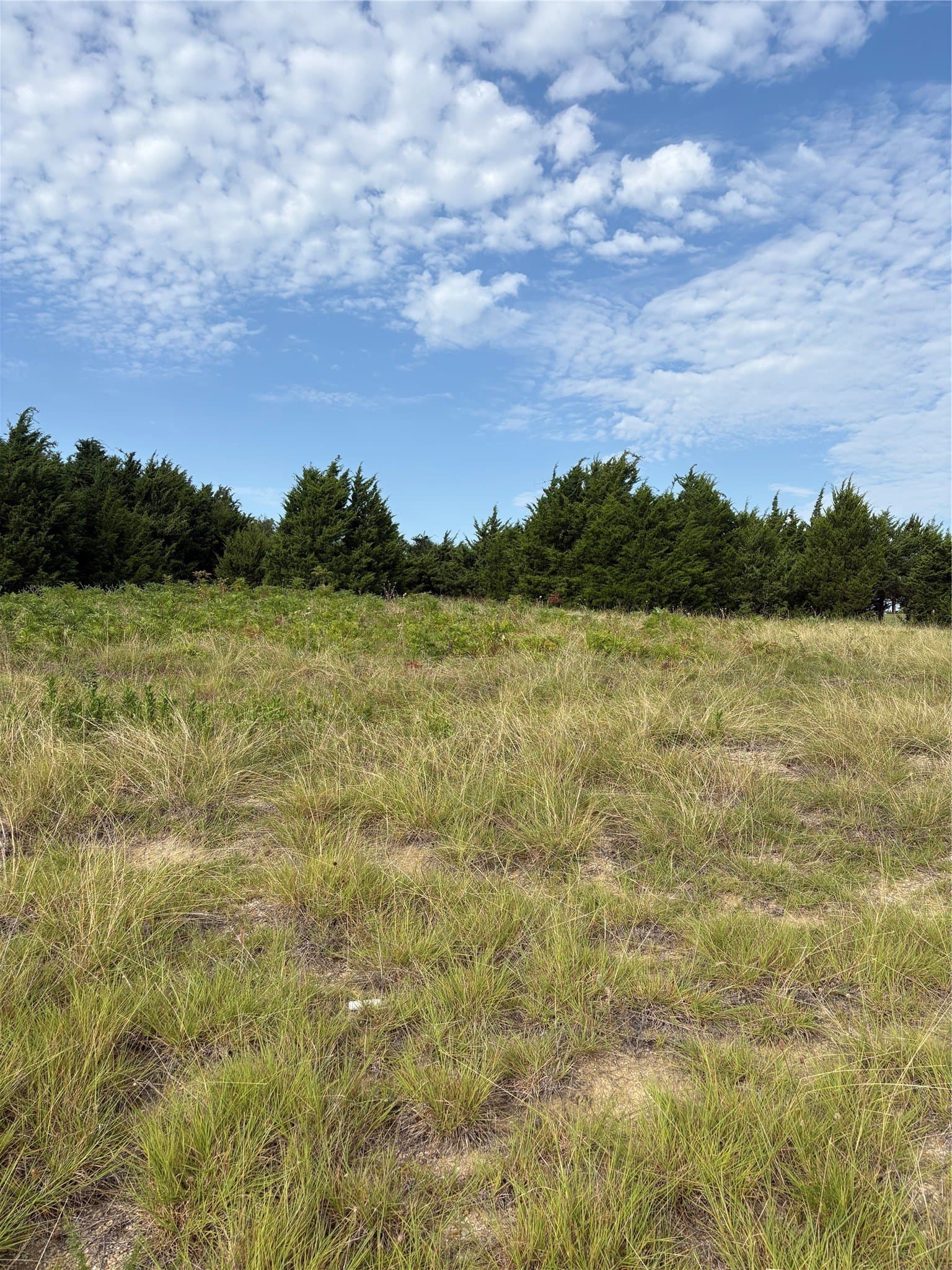 2.54 acres in Collin County - photo 18