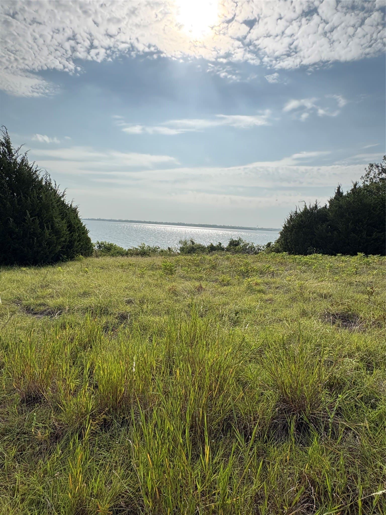 2.54 acres in Collin County - photo 17