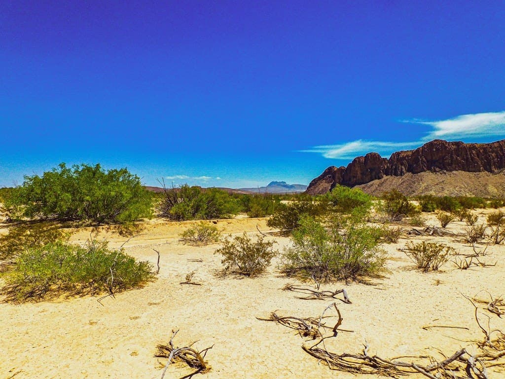 5 acres in Brewster County gallery image 4
