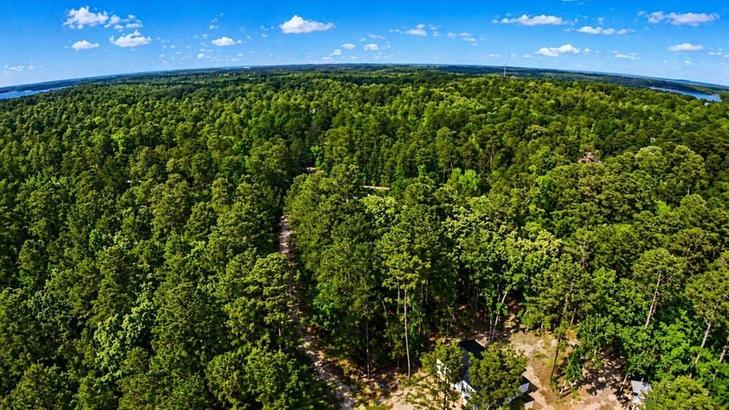 0.24 acres in Texas County - photo 10