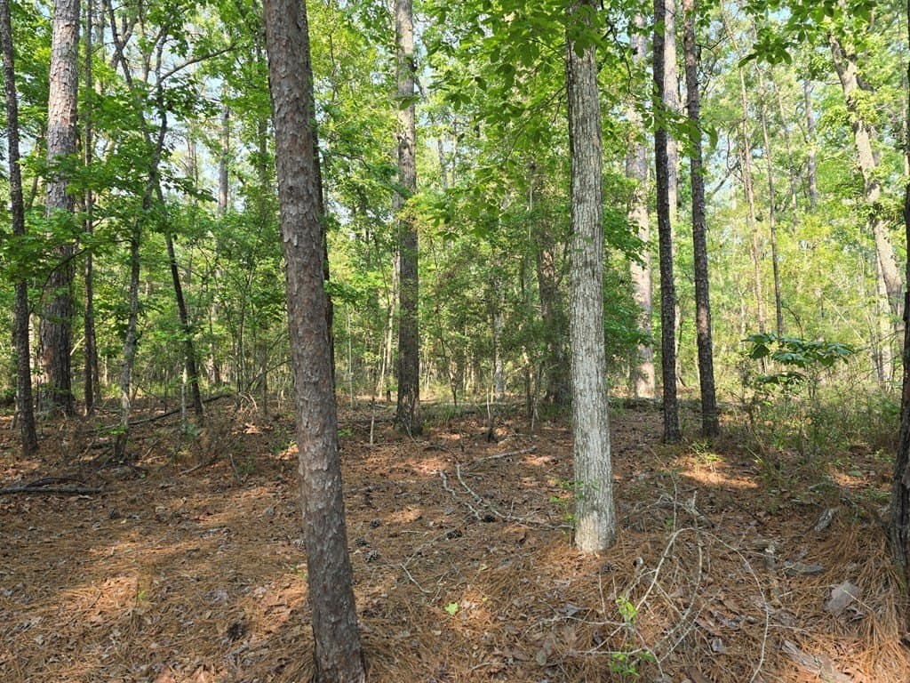 0.24 acres in Texas County - photo 13