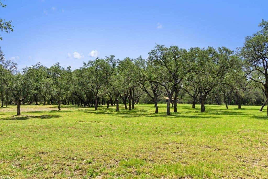 7.17 acres in Blanco County - photo 21