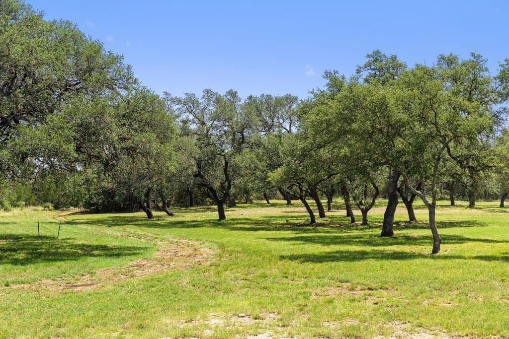 7.17 acres in Blanco County - photo 17