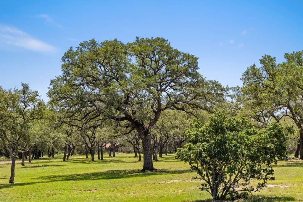 7.17 acres in Blanco County - photo 15