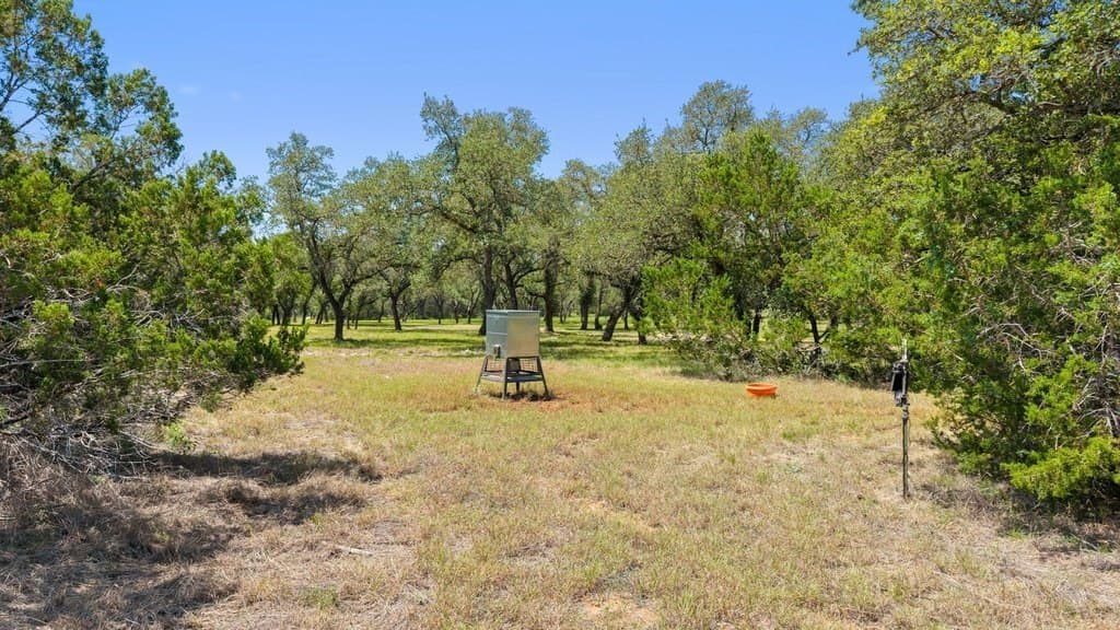 7.17 acres in Blanco County featured view