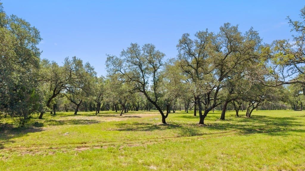 7.17 acres in Blanco County - photo 7