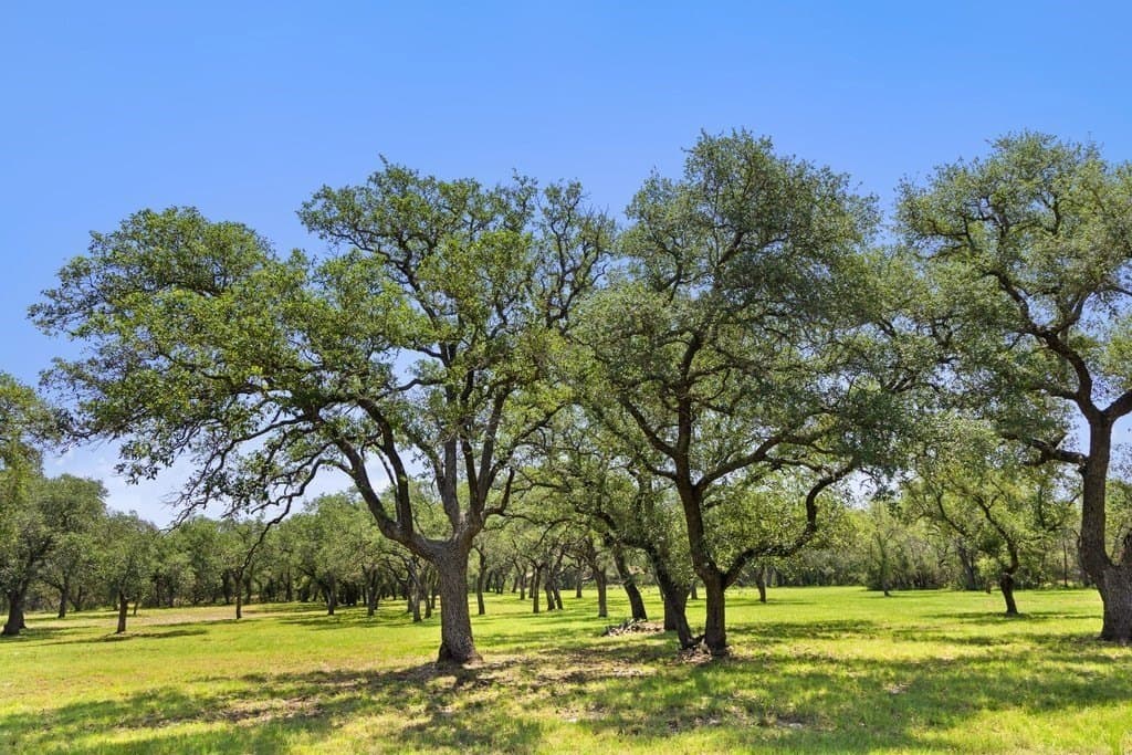 7.17 acres in Blanco County - photo 18