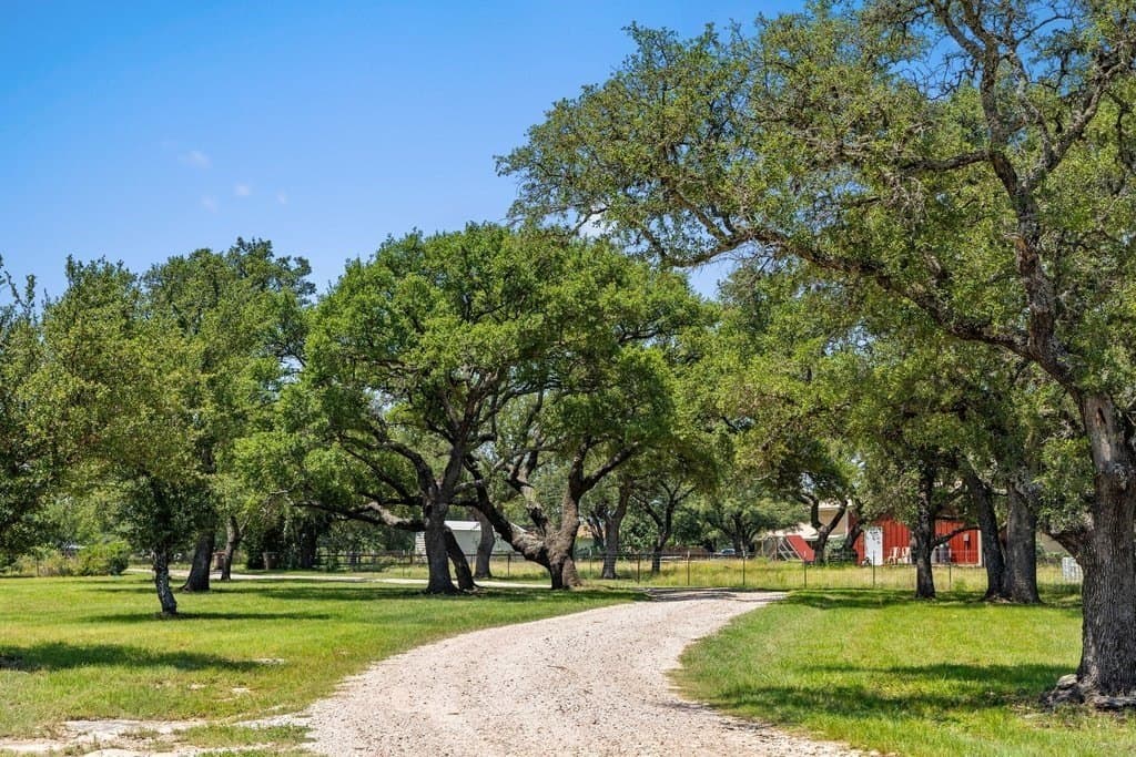 7.17 acres in Blanco County - photo 16
