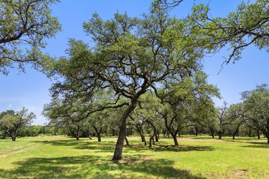 7.17 acres in Blanco County - photo 22