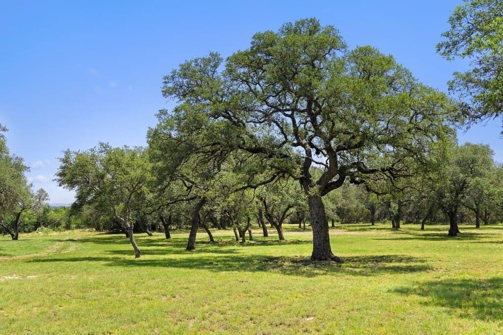 7.17 acres in Blanco County - photo 19