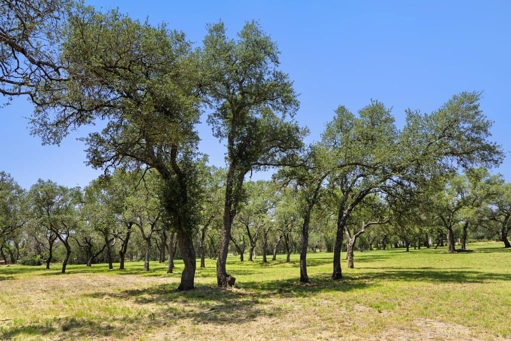 7.17 acres in Blanco County - photo 23