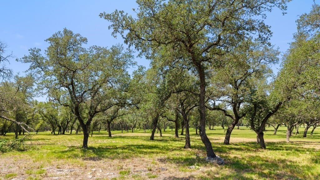 7.17 acres in Blanco County - photo 6
