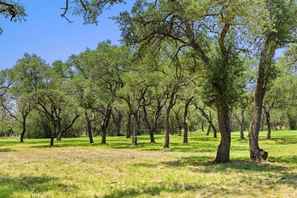 7.17 acres in Blanco County - photo 27