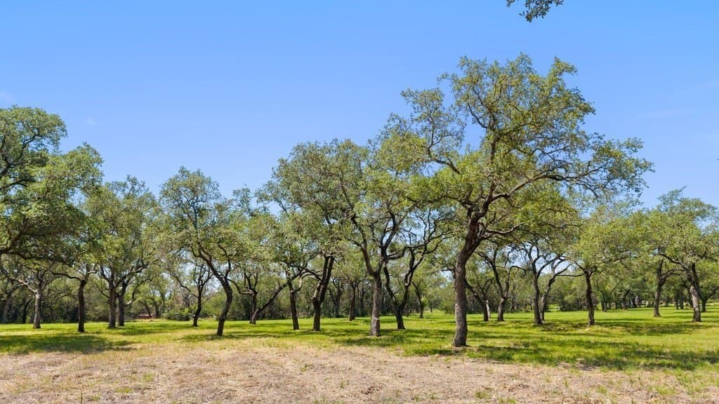 7.17 acres in Blanco County - photo 9