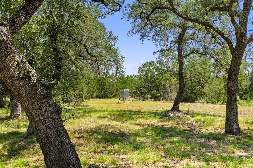 7.17 acres in Blanco County - photo 25