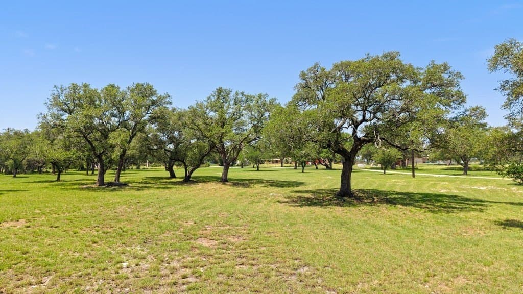 7.17 acres in Blanco County gallery image 3