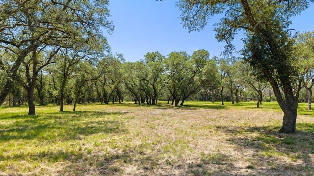 7.17 acres in Blanco County - photo 8