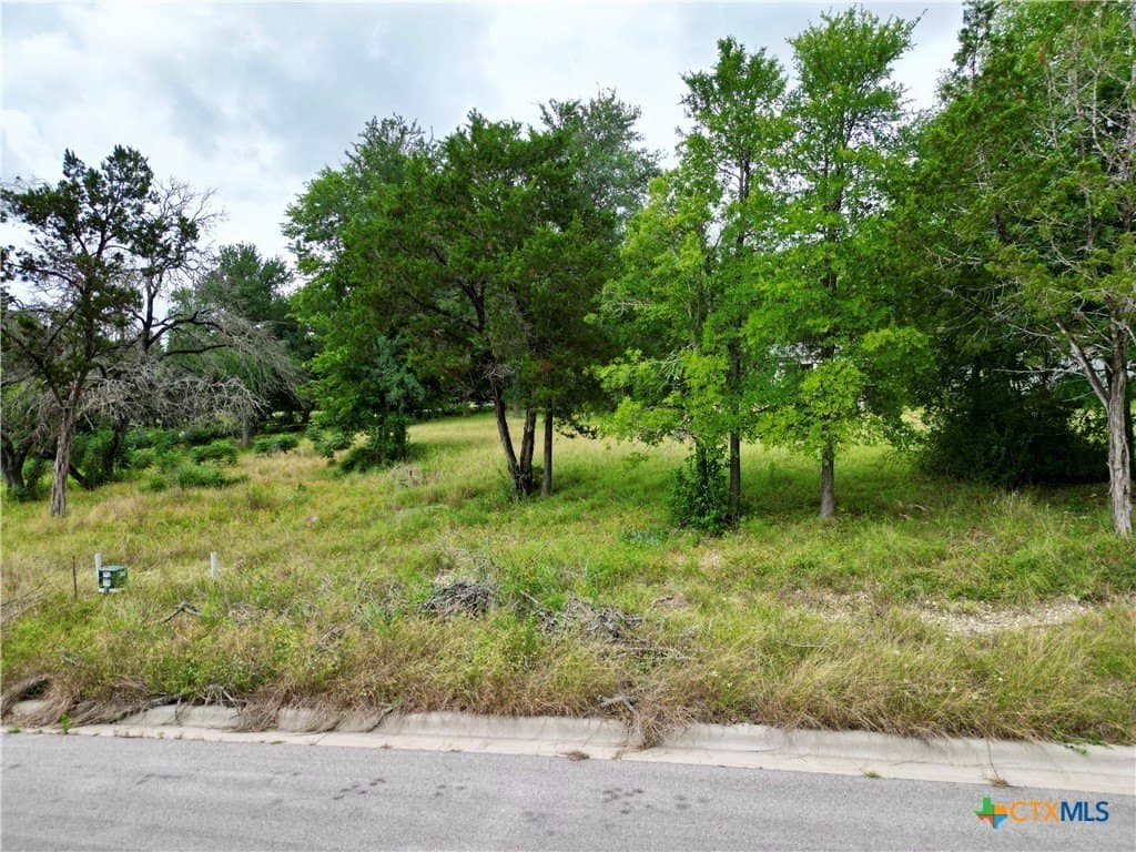 0.47 acres in Bell County gallery image 3