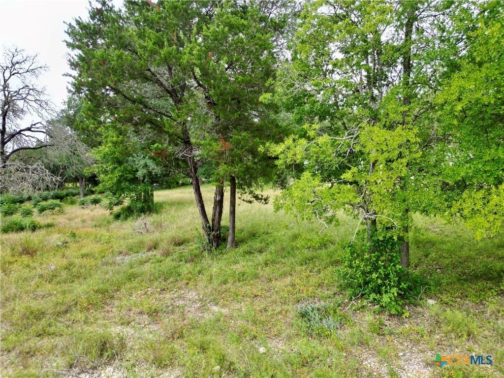 0.47 acres in Bell County gallery image 4