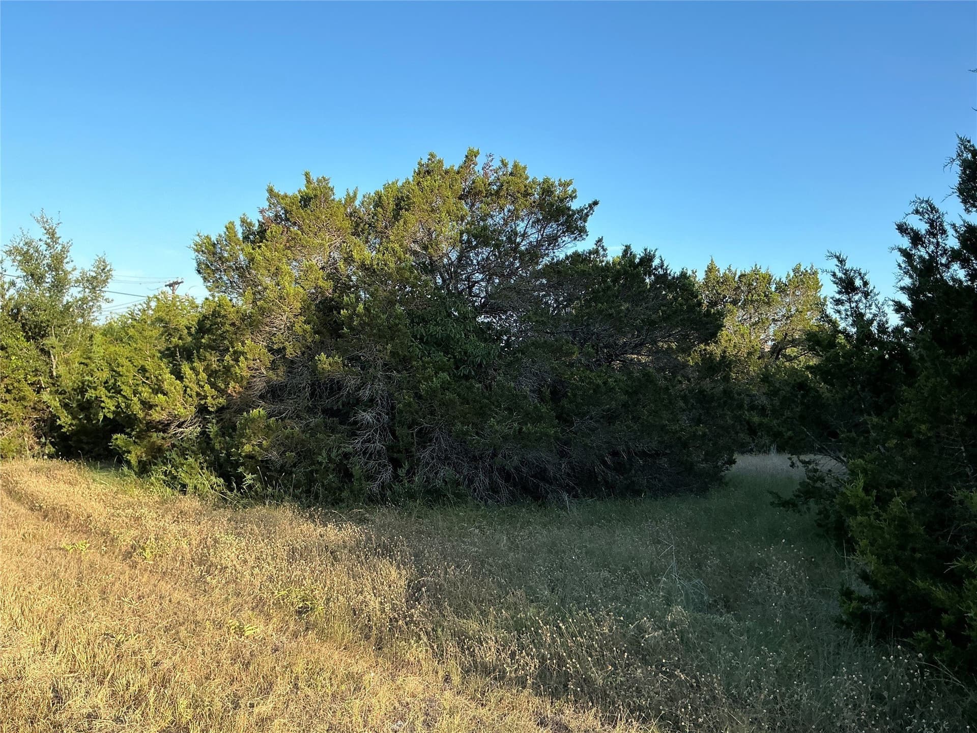 0.34 acres in Hill County - photo 9