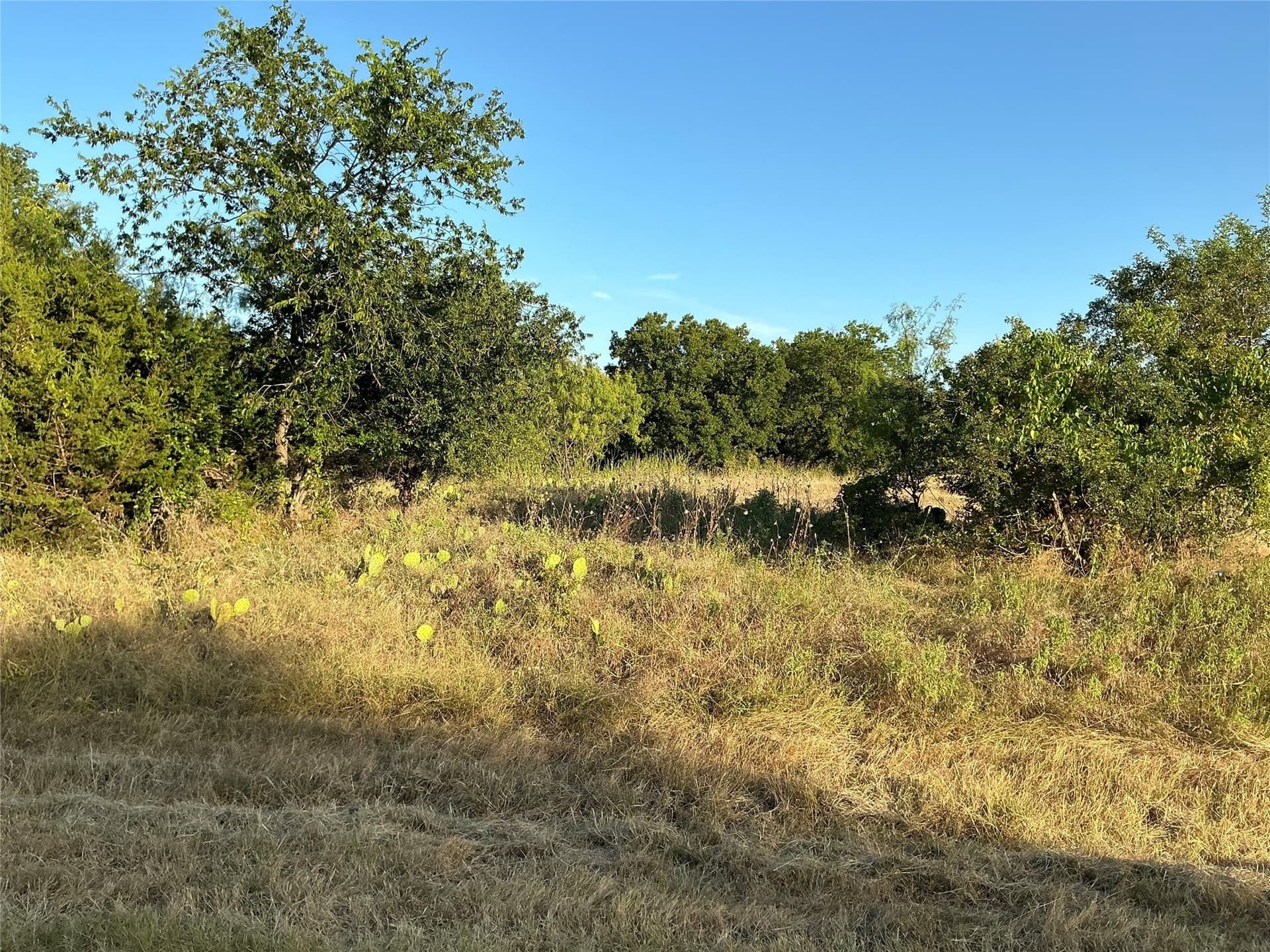 0.34 acres in Hill County - photo 14