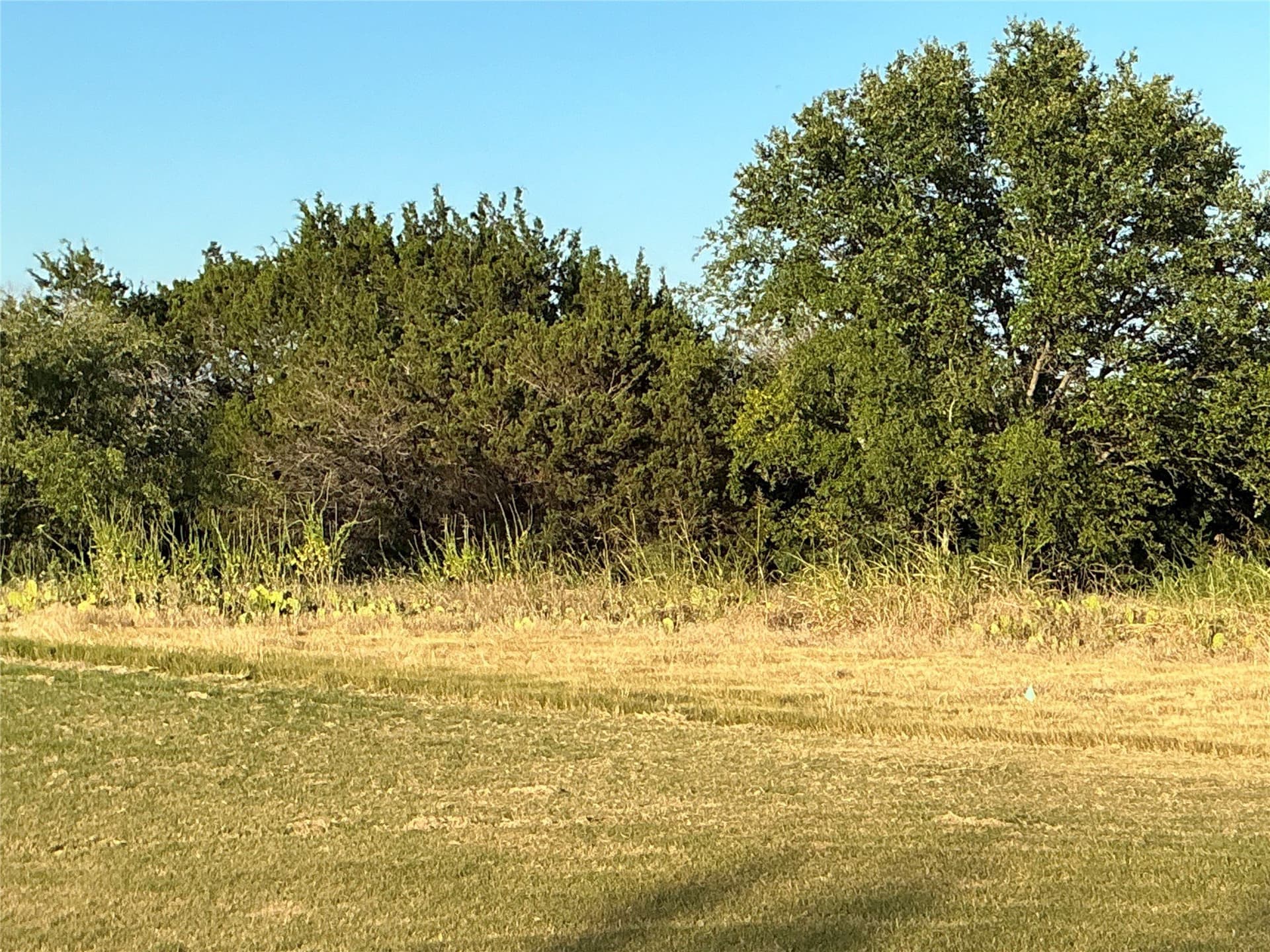 0.34 acres in Hill County featured view