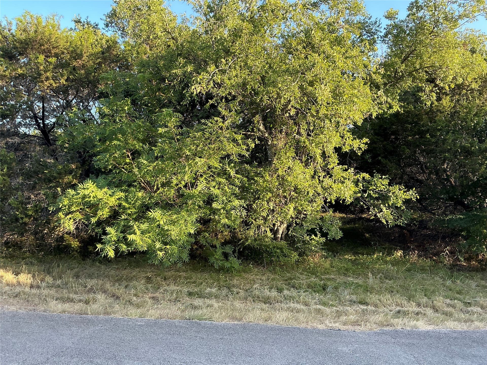 0.34 acres in Hill County - photo 11