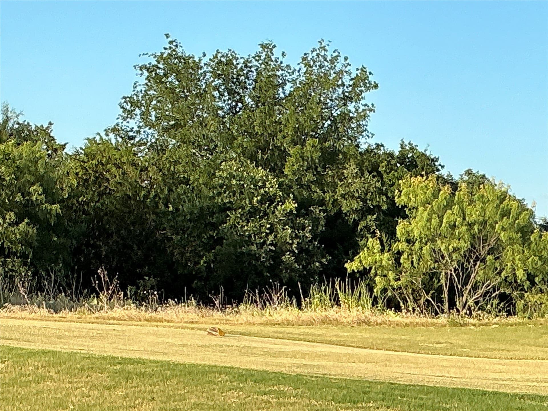 0.34 acres in Hill County gallery image 2