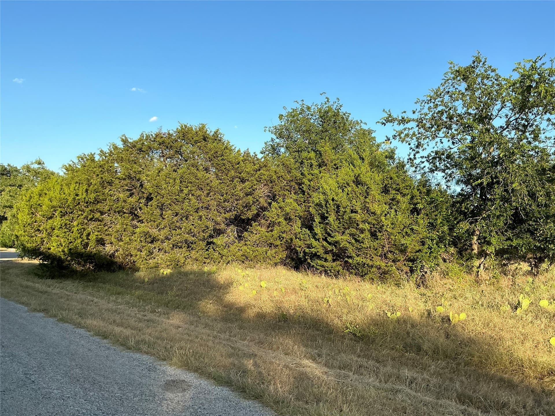 0.34 acres in Hill County - photo 13