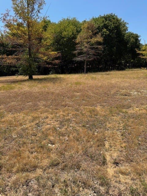 1 acres in Ellis County - photo 3