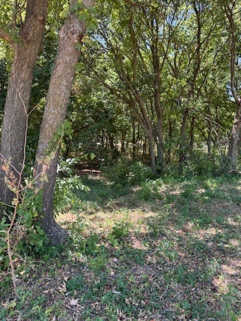 1 acres in Ellis County - photo 5
