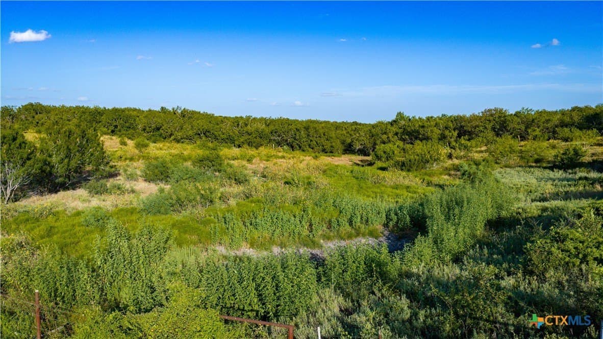 21.49 acres in Guadalupe County - photo 14