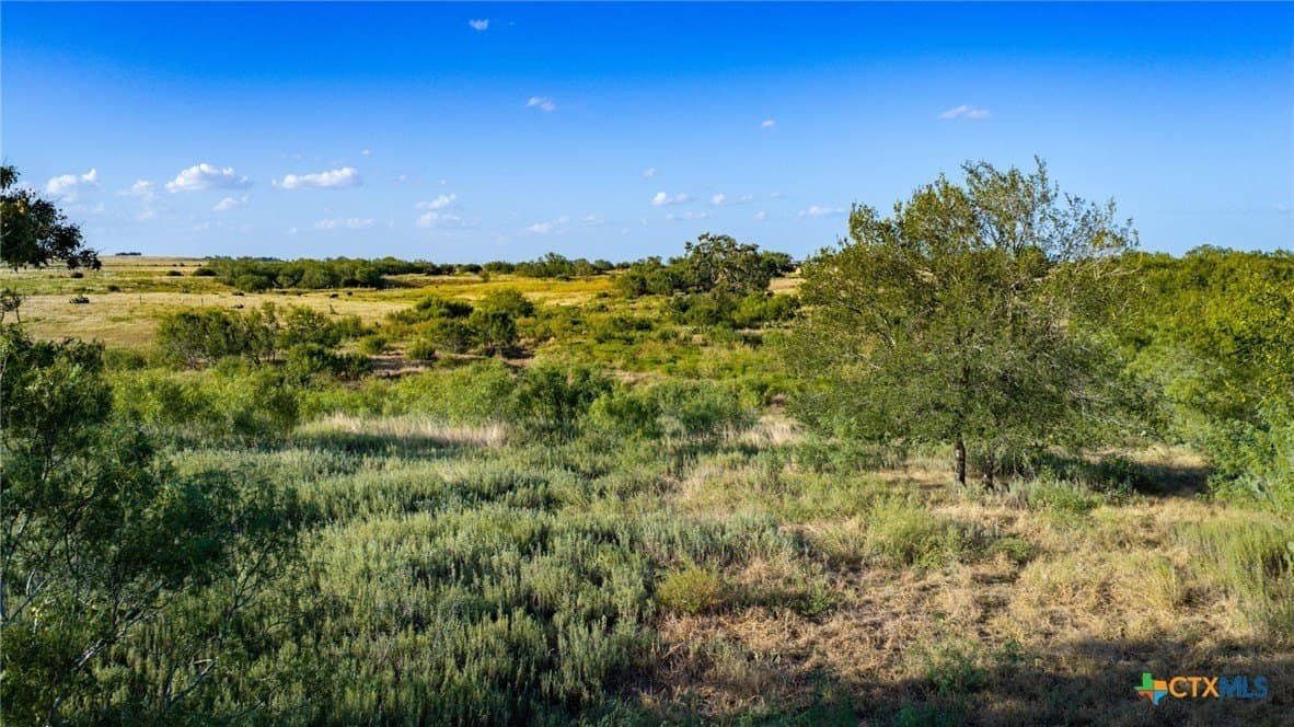 21.49 acres in Guadalupe County - photo 11