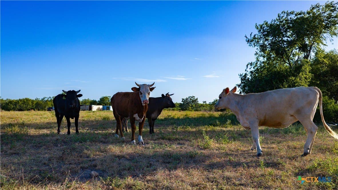 21.49 acres in Guadalupe County - photo 19