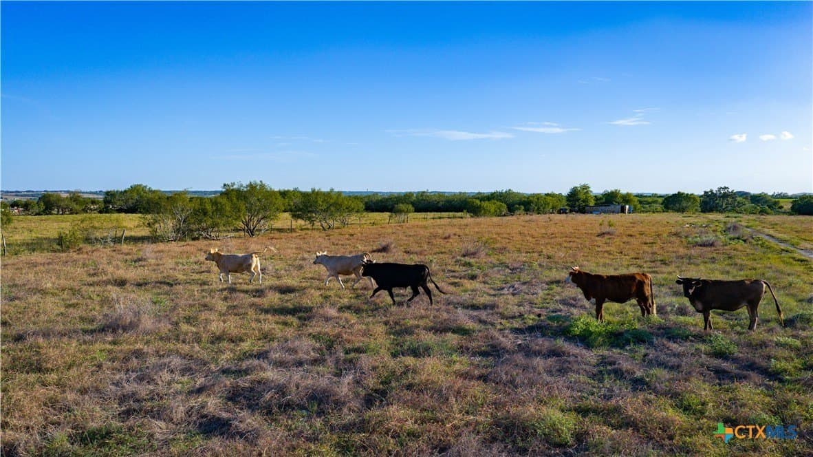 21.49 acres in Guadalupe County - photo 4