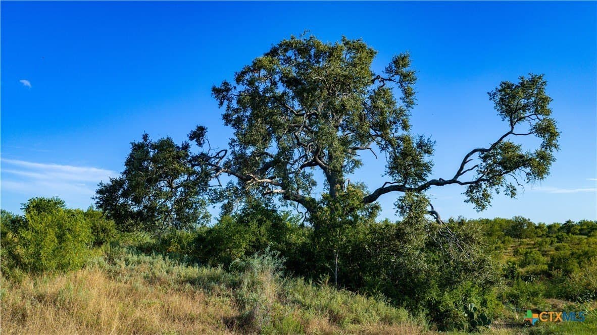 21.49 acres in Guadalupe County - photo 17