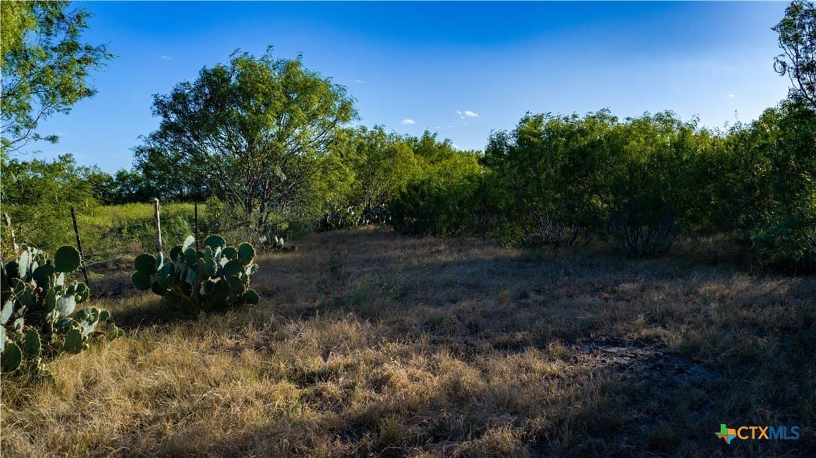 21.49 acres in Guadalupe County - photo 20