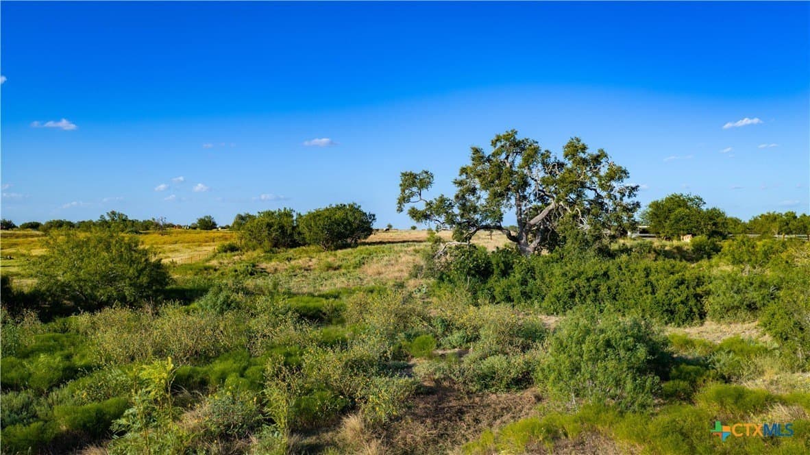 21.49 acres in Guadalupe County - photo 15