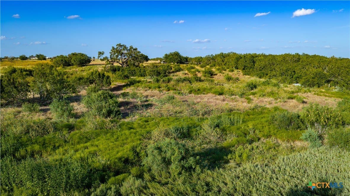 21.49 acres in Guadalupe County - photo 12