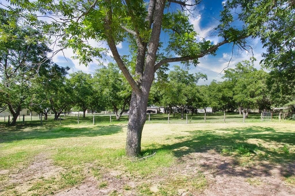 0.49 acres in Gillespie County gallery image 3