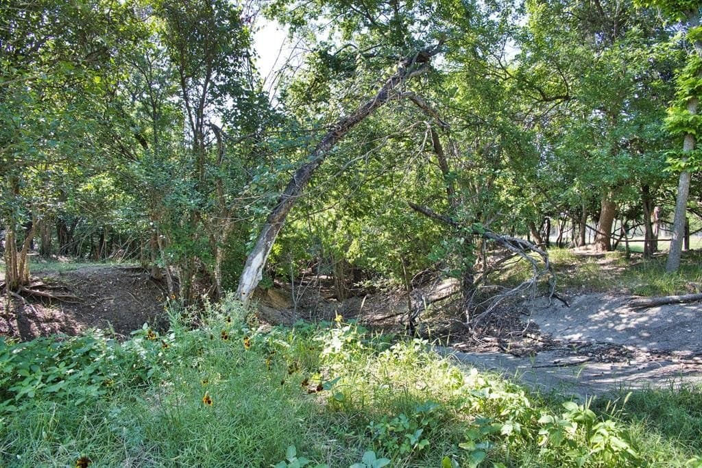 0.49 acres in Gillespie County gallery image 4